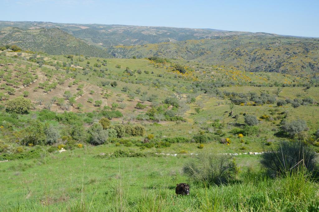Casa Rural El Meson Fermoselle Kültér fotó